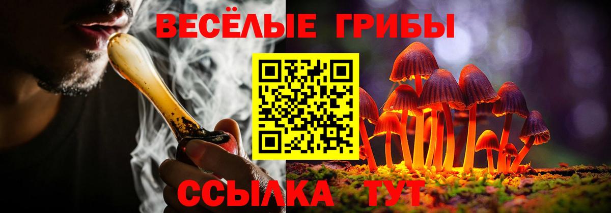 Ступино  Псилоцибиновые грибы Psilocybe  Вход с VPN 